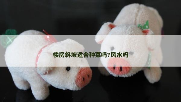 樓房斜坡適合種菜嗎?風水嗎