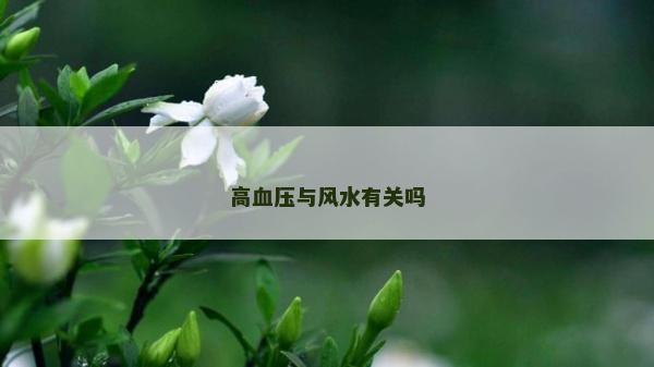 高血壓與風(fēng)水有關(guān)嗎