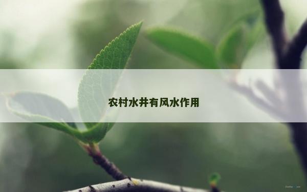 農(nóng)村水井有風(fēng)水作用 農(nóng)村水井有風(fēng)水作用