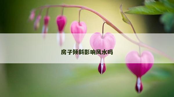 房子傾斜影響風(fēng)水嗎