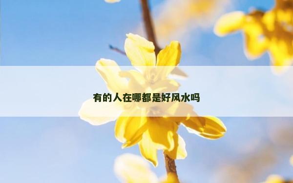 有的人在哪都是好風水嗎
