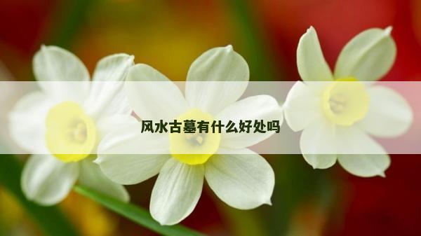 風水古墓有什么好處嗎