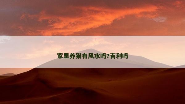 家里養貓有風水嗎?吉利嗎