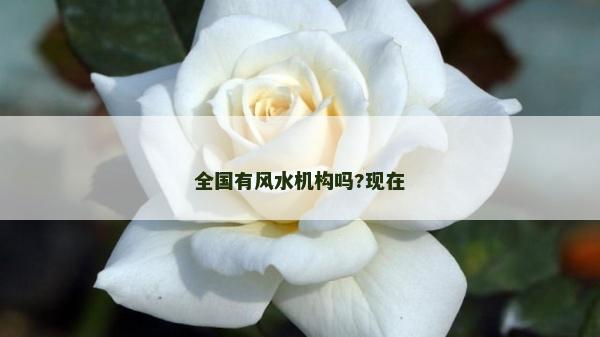 全國有風水機構嗎?現在