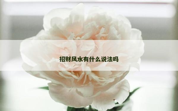 招財風水有什么說法嗎