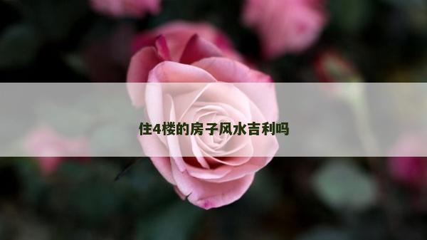 住4樓的房子風水吉利嗎
