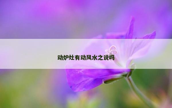 動爐灶有動風水之說嗎 動爐灶有動風水之說嗎