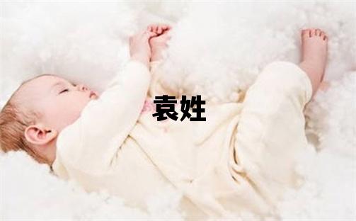 袁姓洋氣的男孩名字,取什么名字好