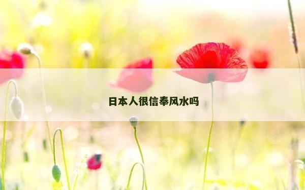 日本人很信奉風水嗎 日本人很信奉風水嗎