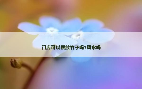 門店可以擺放竹子嗎?風水嗎