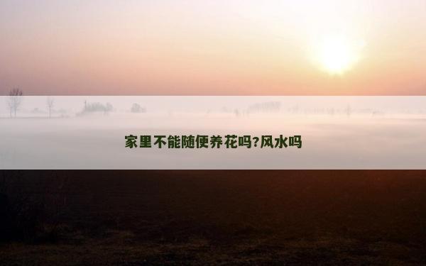 家里不能隨便養花嗎?風水嗎