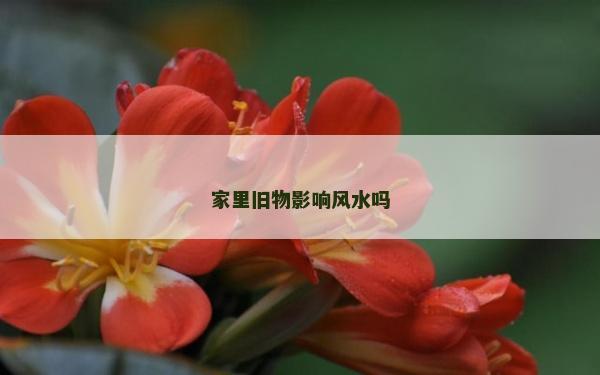 家里舊物影響風(fēng)水嗎