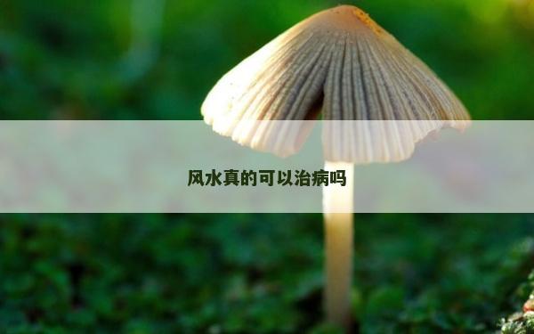 風(fēng)水真的可以治病嗎