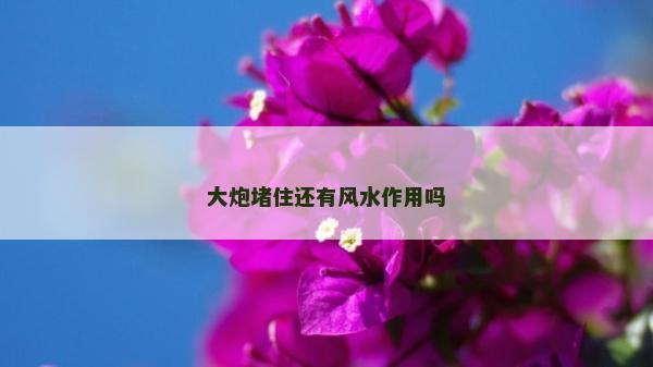 大炮堵住還有風水作用嗎 大炮堵住還有風水作用嗎