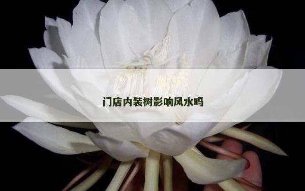 門(mén)店內(nèi)裝樹(shù)影響風(fēng)水嗎