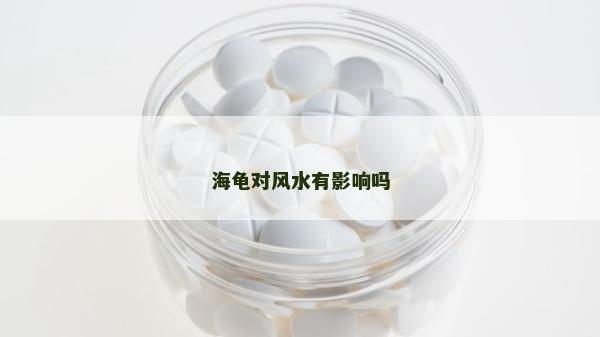 海龜對風(fēng)水有影響嗎