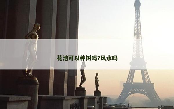 花池可以種樹嗎?風水嗎