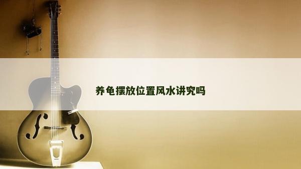 養龜擺放位置風水講究嗎