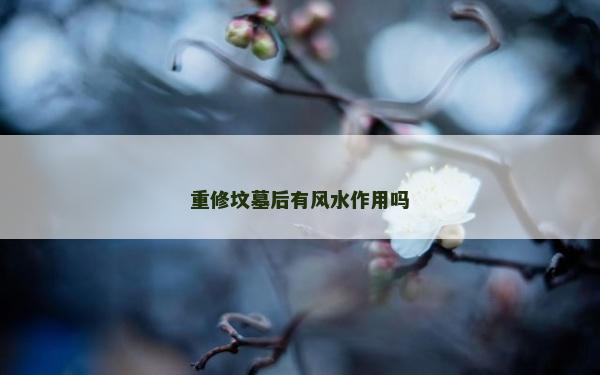 重修墳墓后有風水作用嗎