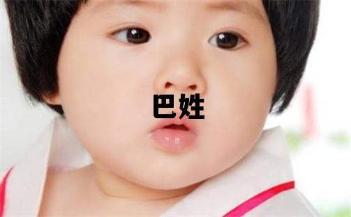 巴姓大氣文雅的男孩名字,取什么名字好