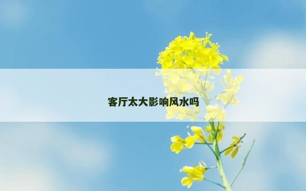 客廳太大影響風水嗎