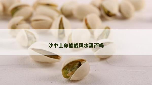 沙中土命能戴風水葫蘆嗎