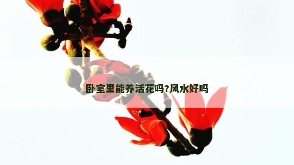 臥室里能養(yǎng)活花嗎?風(fēng)水好嗎