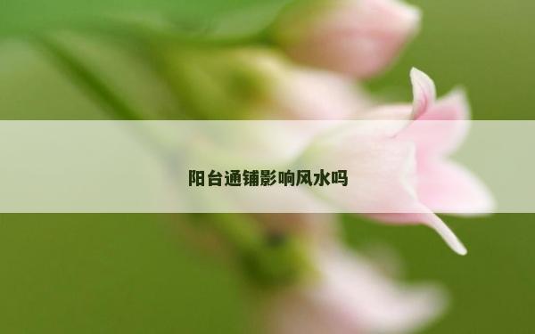 陽臺通鋪影響風水嗎 陽臺通鋪影響風水嗎