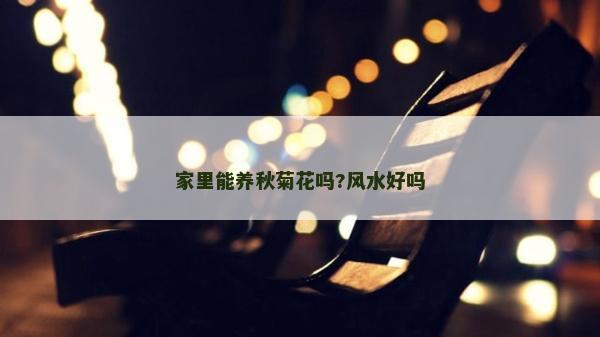 家里能養(yǎng)秋菊花嗎?風(fēng)水好嗎