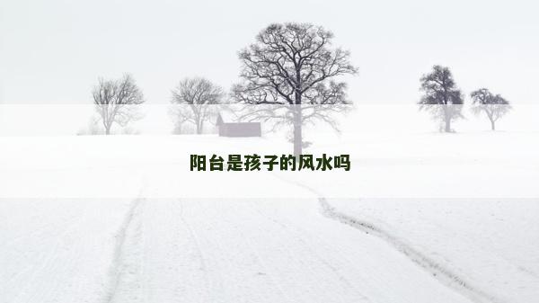 陽臺是孩子的風水嗎 陽臺是孩子的風水嗎