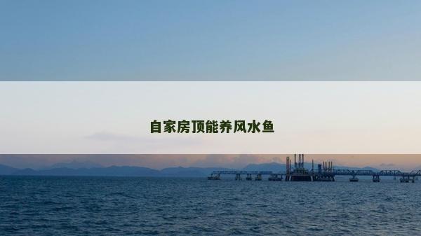 自家房頂能養(yǎng)風(fēng)水魚