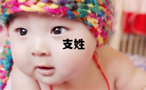 支姓優(yōu)美大方的女寶寶名字
