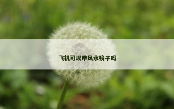 飛機可以帶風水鏡子嗎