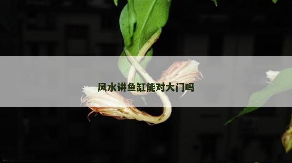 風水講魚缸能對大門嗎