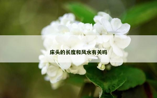 床頭的長度和風水有關嗎