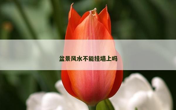 盆景風(fēng)水不能掛墻上嗎