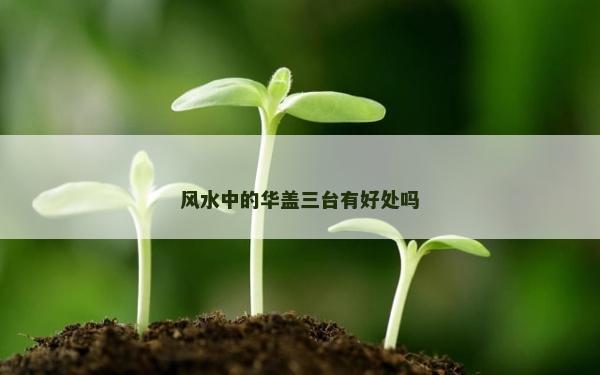 風水中的華蓋三臺有好處嗎