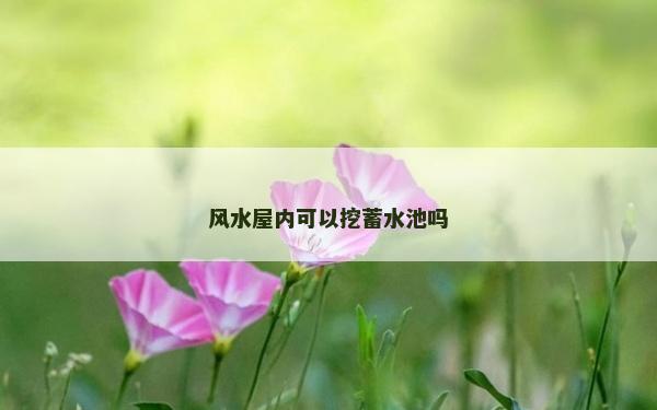 風水屋內可以挖蓄水池嗎