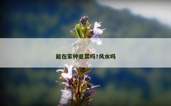 能在家種韭菜嗎?風水嗎