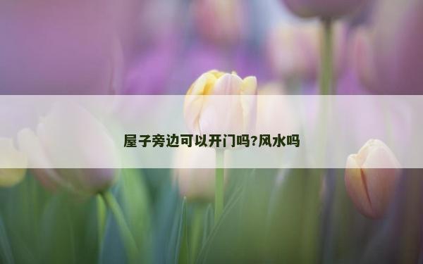 屋子旁邊可以開門嗎?風水嗎