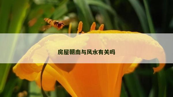 房屋朝南與風水有關嗎 房屋朝南與風水有關嗎