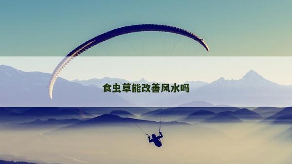 食蟲草能改善風水嗎