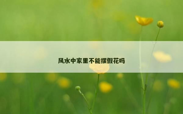風(fēng)水中家里不能擺假花嗎