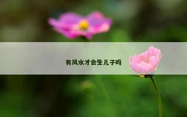 有風水才會生兒子嗎