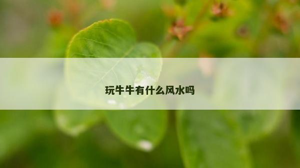 玩牛牛有什么風水嗎