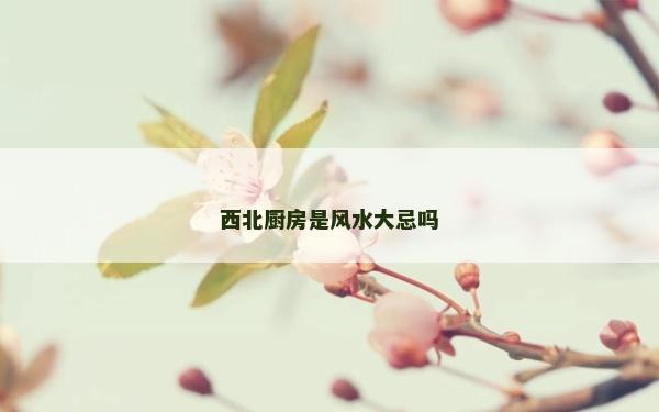 西北廚房是風水大忌嗎