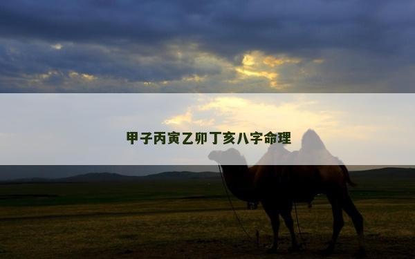 甲子丙寅乙卯丁亥八字命理
