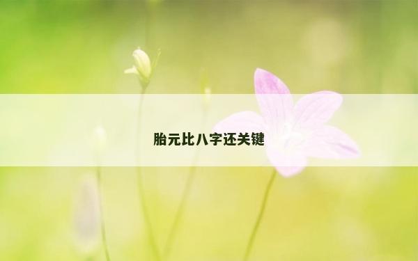 胎元比八字還關(guān)鍵