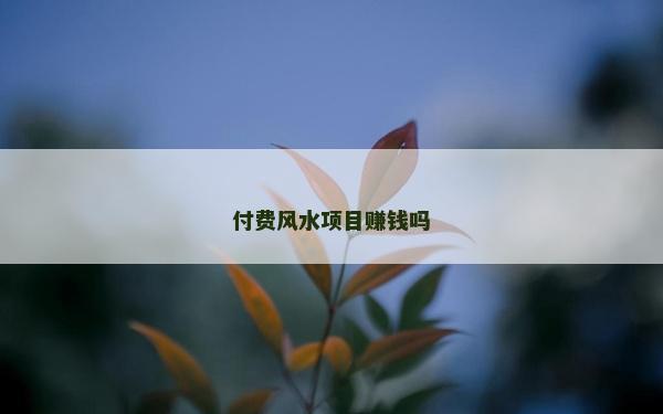 付費(fèi)風(fēng)水項(xiàng)目賺錢嗎