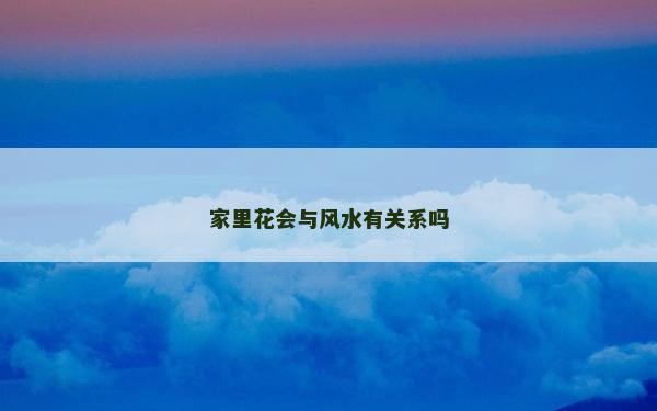 家里花會與風水有關系嗎